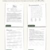 Naomi: A Woman of Restoration: look inside the printable study pages