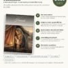 Hannah: A Woman of Prayer printable Bible study: what is inside, price and format